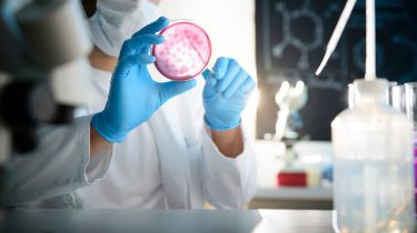 Microbiology Subharti Medical College